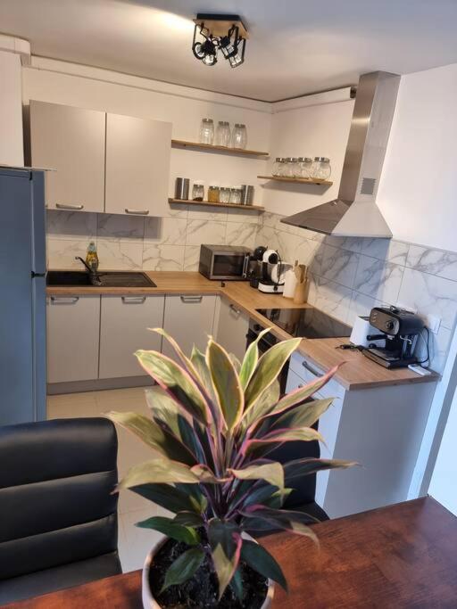 Appartement Vue Mer Avec Parking Gratuit Sur Place Bastia  Exterior foto